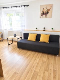 Apartmán Pod Ledovcem - 4