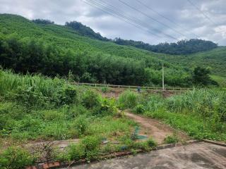 Nha Xanh Camping Retreat - 3