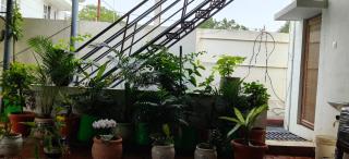 Komorebi Home stay - 5
