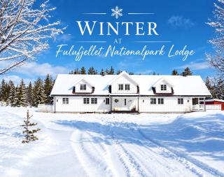 Winter at Fulufjellet National Park Lodge - 9