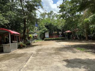 Tree and coffee resort V12 - 5