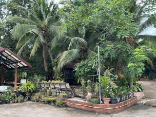 Tree and coffee resort V12 - 3
