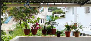 Komorebi Home stay - 2