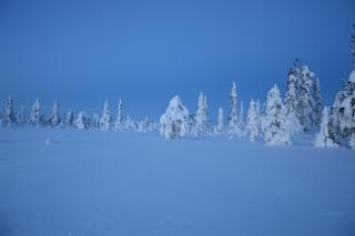 12 - Cabins at Fulufjellstunet - Winter Wonderland - Snow and Nature in Norway - 5