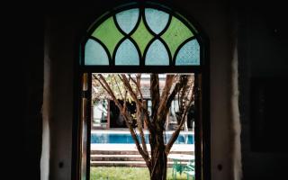 Birdsong,Goa - 8