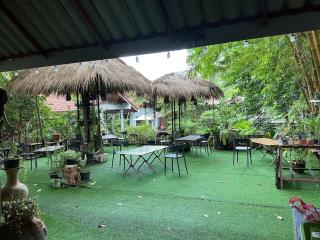 Tree and coffee resort V14 - 1
