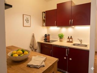 Studio, central, Prater, Schwedenplatz - 7