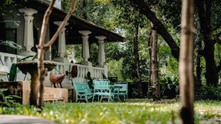 Birdsong,Goa - 5