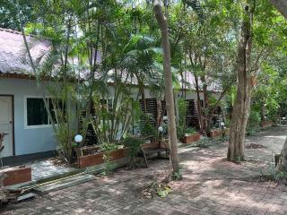 Tree and coffee resort V15 - 1