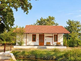 The Banyan Bandhavgarh - 2