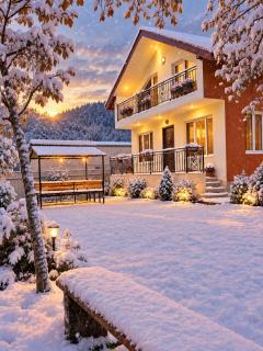 cottage in tsemi (Borjomi) - 0