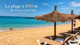 Coco Canel - 8