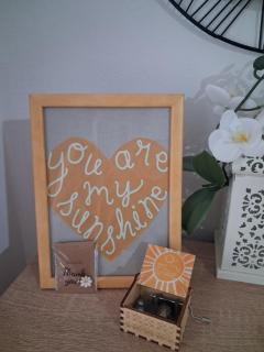 Sunshine- self check in - 7