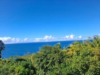 Cocon tropical Marigot idéal pour une escapade dans le nord - 3