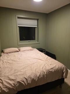 Northern Lights View 2BR Free Parking - 5