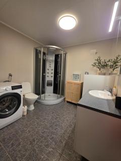 Northern Lights View 2BR Free Parking - 2
