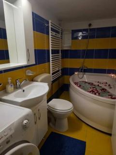 Cozy Love Studio Garsonieră intimă în centrul Aradului - 1