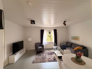 A cozy home near the city center - 9