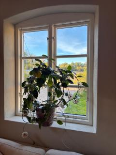 Tarragårdens lodge - 3