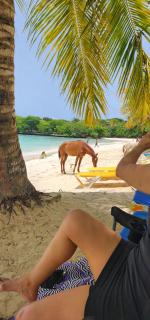 Room for 2 with large pool and close to La Playita - 7