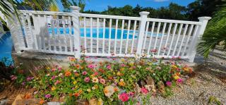 Room for 2 with large pool and close to La Playita - 3