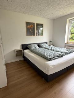 Completely renovated apartment, 6 sleeps - 1