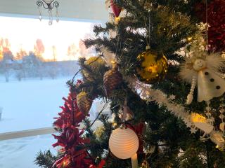 Rovaniemi Riverside Family House near Santa Claus Village - Sauna & Aurora View - 1