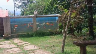 adisham village home - 6