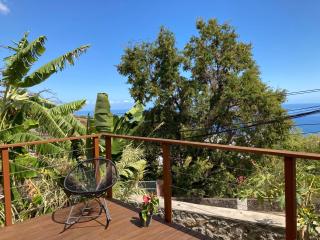 case bois avec vue sur la baie et terrasse - 6