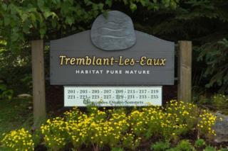 Les Eaux Bright 3BR Steps from Pool and Hot Tub - 9