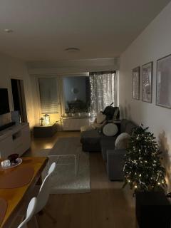 Cozy apartment in the center of Rovaniemi - 0