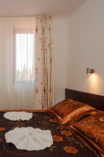 Grand Panorama Residence Pamporovo - 2 Bedroom Family Mountain Apartment - 4