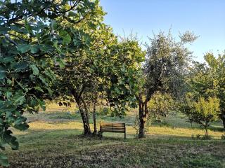 Agriturismo I Ciliegi Appartamento Biancospino - 3