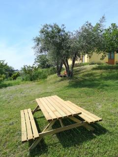 Agriturismo I Ciliegi Appartamento Biancospino - 2