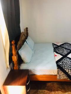 Afonta's Greenhouse Queen's Studio Apartment - 5
