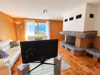 Brienz Sonnige Terasse - 8