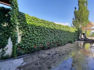 Cheerful house in Yerevan with swimming pool and grill - 3