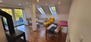 Apartmán Česká Kanada - Dolní Pěna - 9