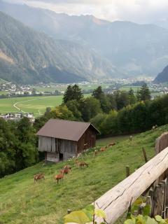 Haus Kropfa - 5