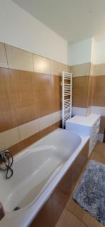 Apartmán Česká Kanada - Dolní Pěna - 8