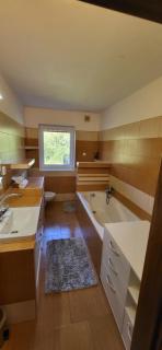 Apartmán Česká Kanada - Dolní Pěna - 7