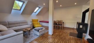 Apartmán Česká Kanada - Dolní Pěna - 4