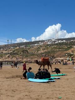 Taghazout discovery guest house - 5