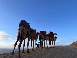 Taghazout discovery guest house - 2