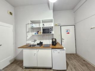 Apartment in Zizkov -203- - 2