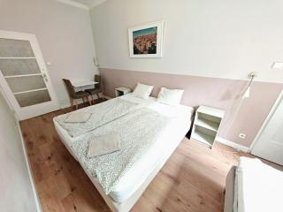 Apartment in Zizkov -201- - 0