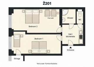 Apartment in Zizkov -201- - 5