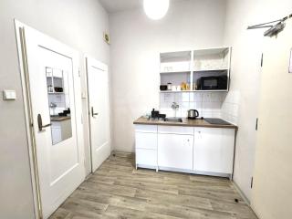 Apartment in Zizkov -201- - 4