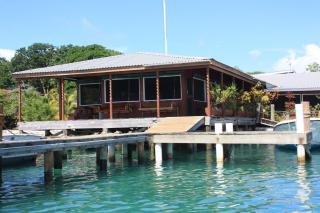 Utila Lodge - Útila - 6
