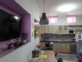Apartments Pri Adamsovih - 3